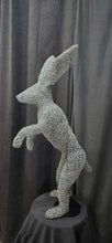 Chicken Wire -Jack Rabbit