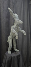 Chicken Wire -Jack Rabbit