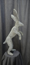 Chicken Wire -Jack Rabbit
