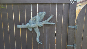 Hanging Out- Chicken wire Frog