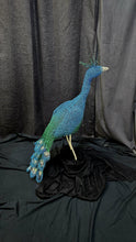 Chicken Wire -Peacock Garden Sculpture