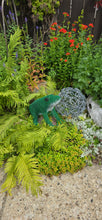 Chicken Wire- 3D Frog Sculpture