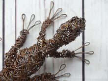 Rusty Critters - 3D Wire Gecko Sculpture