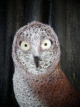 Chicken Wire Owls -Garden Art Sculpture